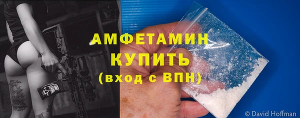 СК Алексин