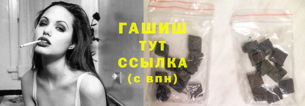 СК Алексин