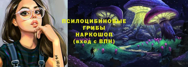 СК Алексин