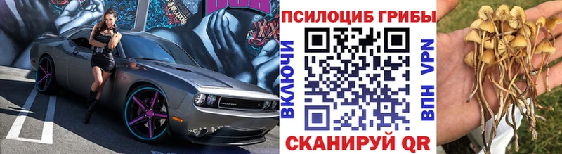 Галлюциногенные грибы прущие грибы  Купить  Горнозаводск 